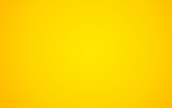 womens wear in Raipur